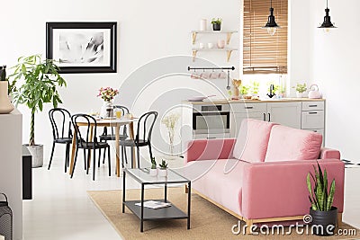Pink settee near black chairs at dining table in flat interior with kitchenette and poster. Real photo Stock Photo