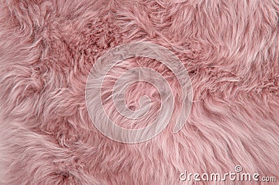 Pink sheepskin rug background sheep fur Wool texture Stock Photo