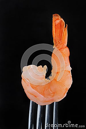 Pink shrimp on fork Stock Photo