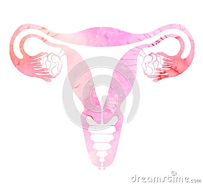 Pink silhouette anatomical uterus with watercolor splashes. Healthy female body. Woman power. Uterus with tube and ovaries. Vector Vector Illustration