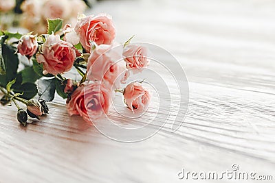Pink small roses on wooden background in light, space for text. Stock Photo
