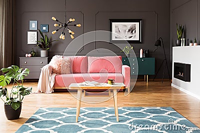 Pink sofa in grey living room interior with poster above green c Stock Photo