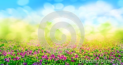 Pink spring flowers blurred background Stock Photo