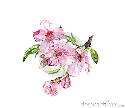 Pink spring flowers. Cherry blossom, almond, apple, sakura. Watercolor Stock Photo