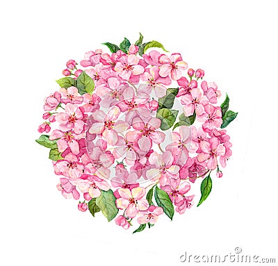 Pink spring flowers - cherry blossom in round background. Beautiful watercolor with sakura, apple circle Stock Photo