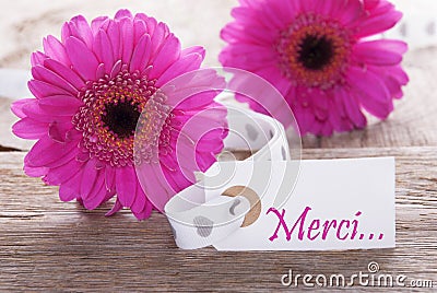 Pink Spring Gerbera, Label, Merci Means Thank You Stock Photo