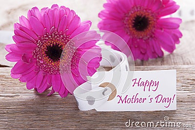 Pink Spring Gerbera, Label, Text Happy Mothers Day Stock Photo