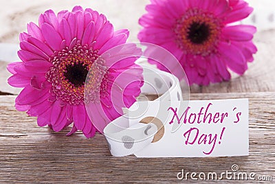 Pink Spring Gerbera, Label, Text Mothers Day Stock Photo