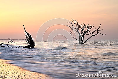 Pink Sunrise At Botany Bay Boneyard South Carolina Coast Stock Photo