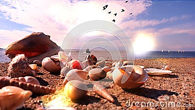 pink Sunset on sea in Harbor water wave reflection seashell sky scape seascape sea stone birds on sky light sun boat in p Stock Photo