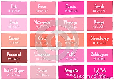 Pink Tone Color Shade Background with Code and Name Vector Illustration