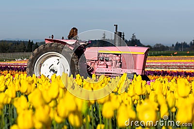 Pink Tractor Stock Photo