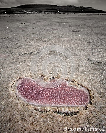 Pink trail on the salt shell of the lake Stock Photo