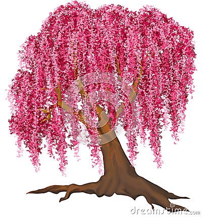 Pink tree Stock Photo