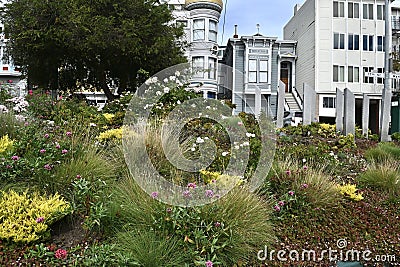 Pink Triangle Park and Memorial San Francisco 3 Editorial Stock Photo