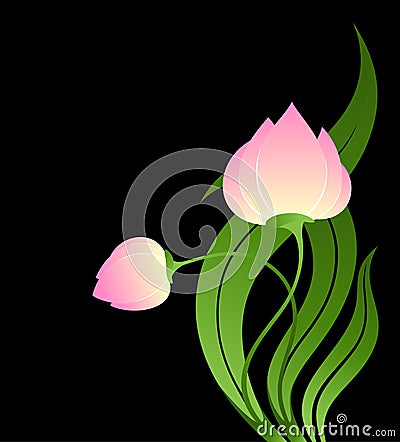 Pink tulip Vector Illustration