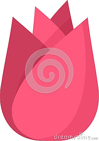 Pink tulip burgeon on a white background. Vector Vector Illustration