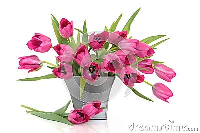 Pink Tulip Flowers Stock Photo
