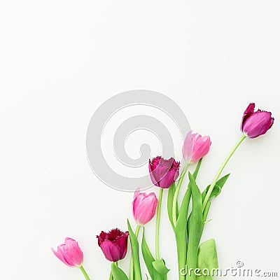 Pink tulip flowers on white background. Flat lay. Top view Stock Photo