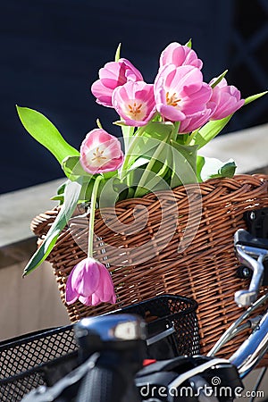 Pink tulip flowers in a wickery bike basket Stock Photo