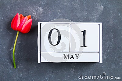Pink tulip on gray concrete background and calendar. 1st of May. Day of Spring and Labor. Stock Photo