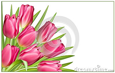 Gift frame with pink tulips Vector Illustration