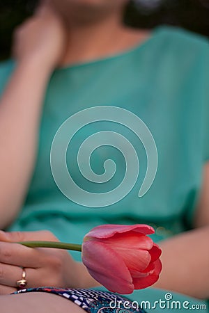 Pink tulip in the left woman hand. Sitting young girl in green dress holding a flower. Female wearing short skirt and green dress Stock Photo