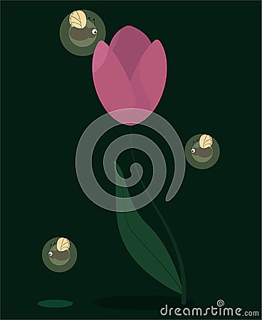 pink tulip on a long, slender stem, and fireflies fly around Vector Illustration