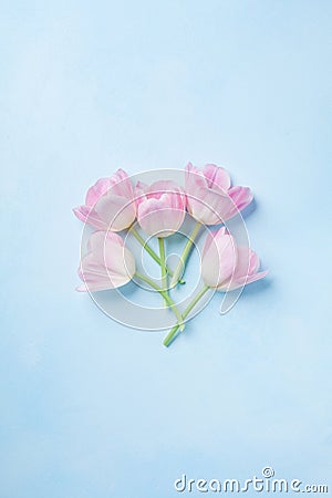 Pink tulips on blue pastel background top view. Spring greeting card with copy space. Flat lay. Stock Photo