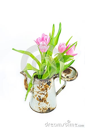Pink tulips in rusty coffee pot. Concept of spring Stock Photo