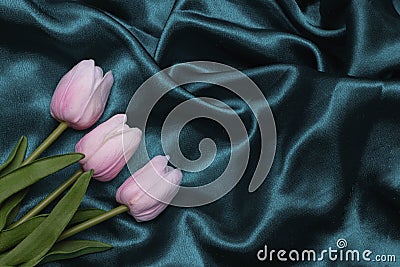 Pink tulips on a sea green silk fabric. Background for design with place for text. The photo Stock Photo