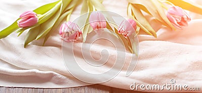 Pink tulips on white fabric, lit by the rays of the setting sun Stock Photo