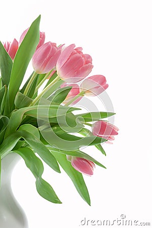 Pink tulips in a white vase Stock Photo