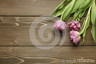 Pink tulips on wooden background Stock Photo