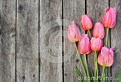 Pink Tulips on Wooden Planks Stock Photo