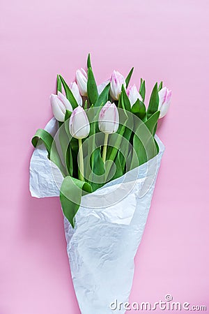 Pink tulips wrapped in white paper Stock Photo