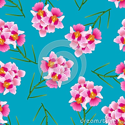 Pink Vanda Miss Joaquim Orchid on Indigo Blue Background. Singapore National Flower. Vector Illustration Vector Illustration