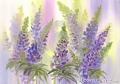 Pink and violet lupine flowers watercolor background Stock Photo