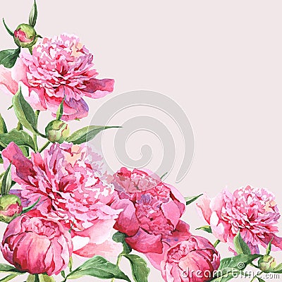 Pink watercolor peonies vintage greeting card Cartoon Illustration