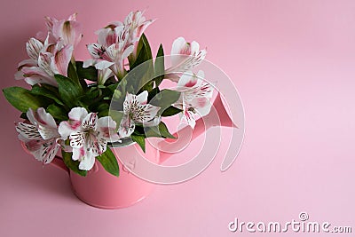 Pink watering can with flowers, watering can with alstromeria, a bouquet of flowers in a watering can on a pink background Stock Photo