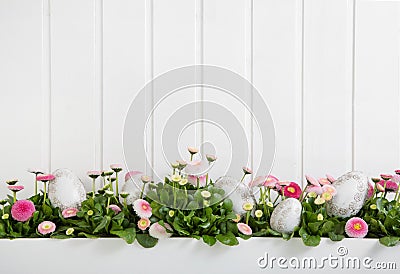 Pink and white daisy flowers with easter eggs for decoration on Stock Photo