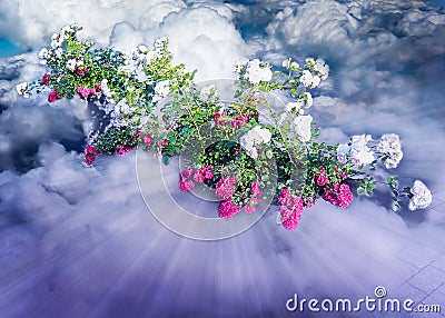 Pink and white flowers in clouds Stock Photo