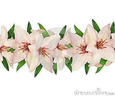 Pink and white lilies seamless line Stock Photo