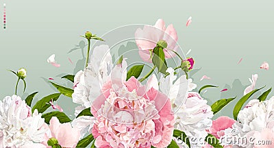 Pink and white peony background Vector Illustration