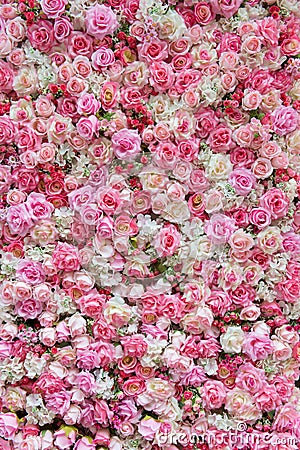 Pink and white rose backdrop Stock Photo