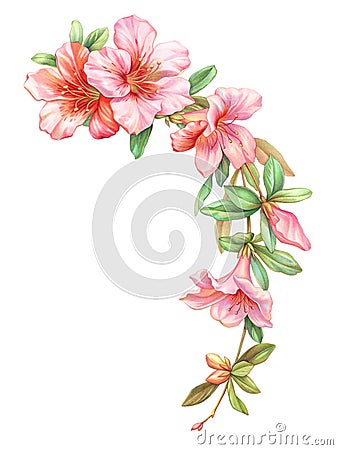 Pink white rose vintage azalea flowers garland wreath isolated on white background. Colored pencil watercolor illustration. Stock Photo