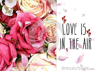 Pink white roses bouquet coral floral background copy space happy romantic Valentine , women day and birthday gre Stock Photo