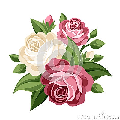 Pink and white vintage roses. Vector Illustration