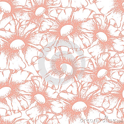 Pink white wild meadow flower seamless vector pattern background. Vintage illustration style blended backdrop with hand Vector Illustration