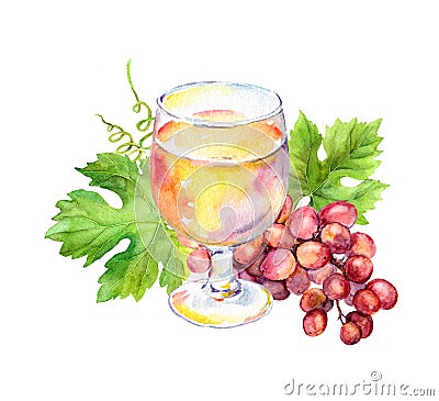 Pink wine glass with vine leaves, grape berries. Watercolor Stock Photo